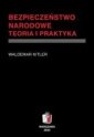 okładka książki - Bezpieczeństwo narodowe. Teoria