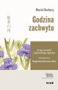 okładka książki - Godzina zachwytu