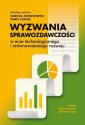 okładka książki - Wyzwania sprawozdawczości w erze