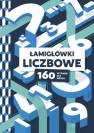 okładka książki - Łamigłówki liczbowe. 160 wyzwań