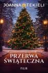 okładka książki - Przerwa świąteczna