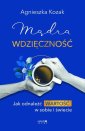 okładka książki - Mądra wdzięczność. Jak odnaleźć