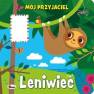 okładka książki - Mój przyjaciel Leniwiec