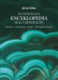 okładka książki - Ilustrowana encyklopedia skał i