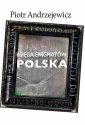 okłakda ebooka - Księga enigmatów. Polska