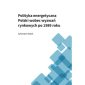 okładka książki - Polityka energetyczna Polski wobez