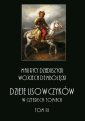 okłakda ebooka - Dzieje lisowczyków. W czterech