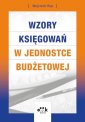 okładka książki - Wzory księgowań w jednostce budżetowej