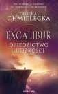 okłakda ebooka - Excalibur. Dziedzictwo ludzkości