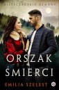 okłakda ebooka - Orszak śmierci. Bieszczadzkie demony.