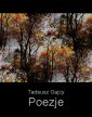 okłakda ebooka - Poezje