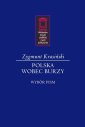 okładka książki - Wobec burzy