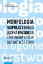 okładka książki - Morfologia współczesnego języka