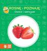 okładka książki - Rosnę i poznaję Owoce i warzywa