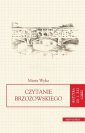 okłakda ebooka - Czytanie Brzozowskiego