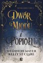 okłakda ebooka - Dwór miodu i popiołu