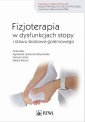 okłakda ebooka - Fizjoterapia w dysfunkcjach stopy