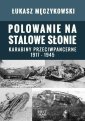 okłakda ebooka - Polowanie na stalowe słonie. Karabiny