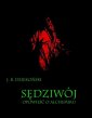 okłakda ebooka - Sędziwój Opowieść o alchemiku