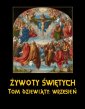 okłakda ebooka - Żywoty Świętych Pańskich. Tom Dziewiąty....