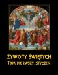 okłakda ebooka - Żywoty Świętych Pańskich. Tom Pierwszy.