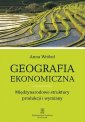 okłakda ebooka - Geografia ekonomiczna. Międzynarodowe