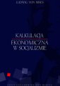 okłakda ebooka - Kalkulacja ekonomiczna w socjalizmie