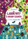 okładka książki - Labirynty z Krainy Czarów