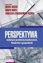 okłakda ebooka - Perspektywa. Wybrane problemy bankowości,