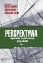 okłakda ebooka - Perspektywa - wyzwania współczesnej