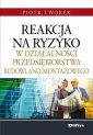 okłakda ebooka - Reakcja na ryzyko w działalności