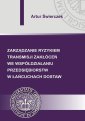 okłakda ebooka - Zarządzanie ryzykiem transmisji