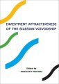 okłakda ebooka - Investment attractiveness of the