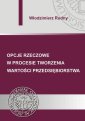 okłakda ebooka - Opcje rzeczowe w procesie tworzenia