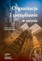 okłakda ebooka - Organizacja i zarządzanie w zarysie