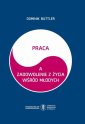 okłakda ebooka - Praca a zadowolenie z życia wśród