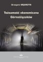 okłakda ebooka - Tożsamość ekonomiczna Górnoślązaków