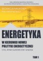 okłakda ebooka - w kierunku nowej polityki energetycznej.