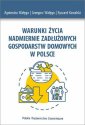 okłakda ebooka - Warunki życia nadmiernie zadłużonych