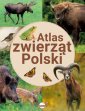 okładka książki - Atlas zwierząt Polski