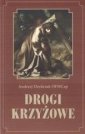 okładka książki - Drogi krzyżowe