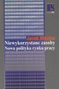 okłakda ebooka - Niewykorzystane zasoby Nowa polityka