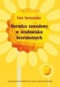 okłakda ebooka - Doradca zawodowy w środowisku bezrobotnych