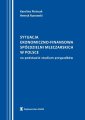 okłakda ebooka - Sytuacja ekonomiczno-finansowa