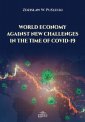 okłakda ebooka - World Economy Against New Challenges