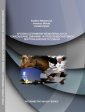 okłakda ebooka - Wycena czynników niematerialnych