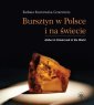 okłakda ebooka - Bursztyn w Polsce i na świecie.