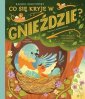 okładka książki - Co się kryje w gnieździe? Fascynujące