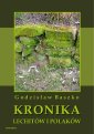 okłakda ebooka - Kronika Lechitów i Polaków