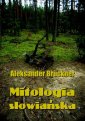 okłakda ebooka - Mitologia słowiańska